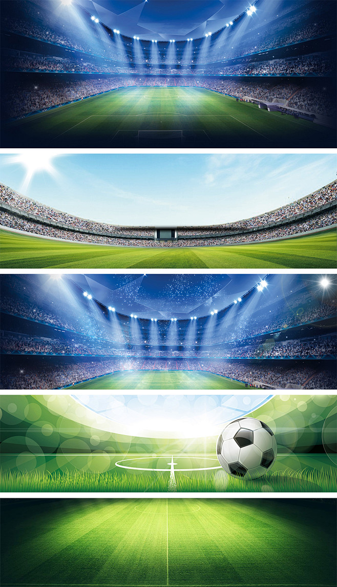 滑雪领域的 滑雪领域的